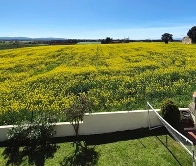 Paisaje cerca de esta casa o chalet