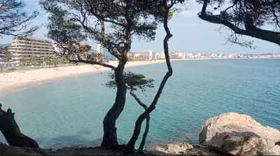 Paisaje cerca de este apartamento