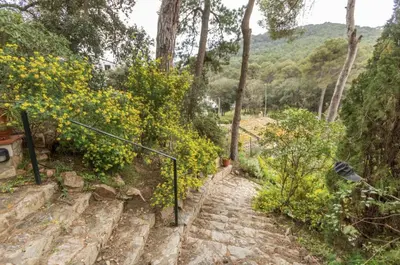 Paisaje cerca de este apartamento