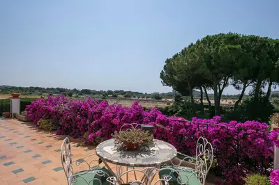 Jardín al aire libre en Winahost Villa Avenida Països Catalans