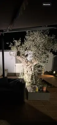 Un balcón o terraza de Alma