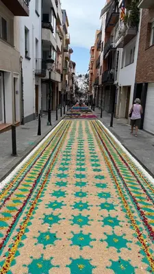 El barrio de los alrededores o un barrio cerca de esta villa