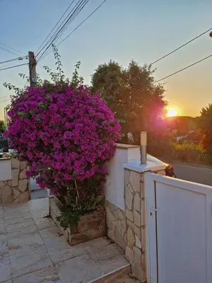 Plano de Mediterranean Peaceful Getaway
