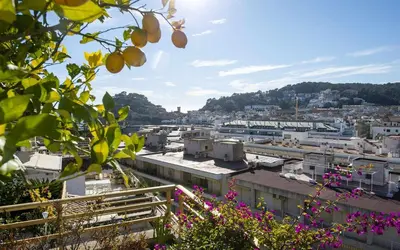 Paisaje cerca de este apartamento
