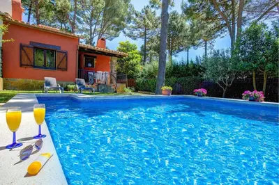 Piscina en o cerca de Níspero