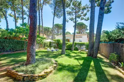 Jardín al aire libre en Níspero