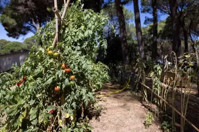 Plano de Camping Begur - De Luxe Safaritent