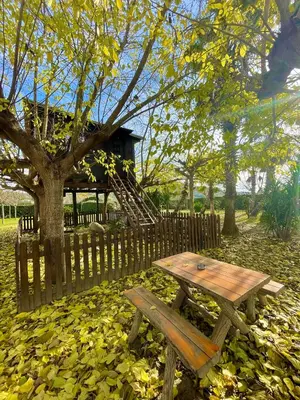 Jardín al aire libre en Nature Tree House