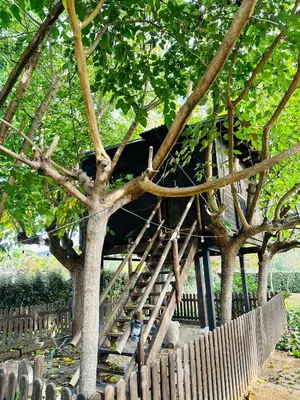Jardín al aire libre en Nature Tree House