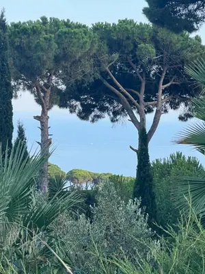Paisaje cerca de esta villa