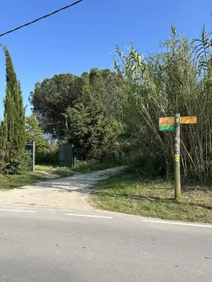 Plano de FRANCIAC Casanova