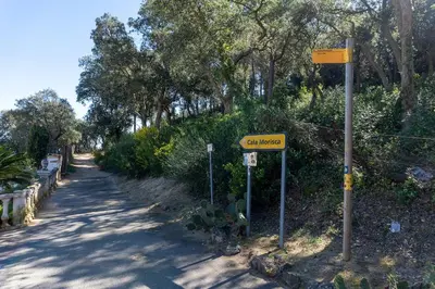 Paisaje cerca de esta casa o chalet