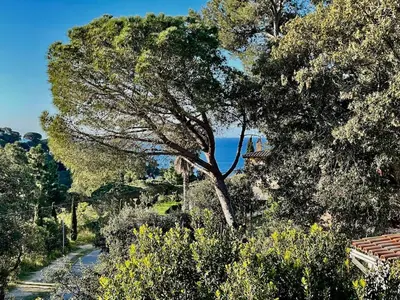 Paisaje cerca de esta casa o chalet