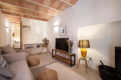 Una televisión o centro de entretenimiento en Luxurious Barri Vell House - Heart of the Old Town