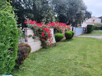 Jardín al aire libre en Can Rossa