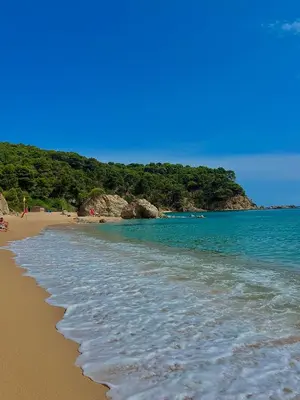Paisaje cerca de este apartamento