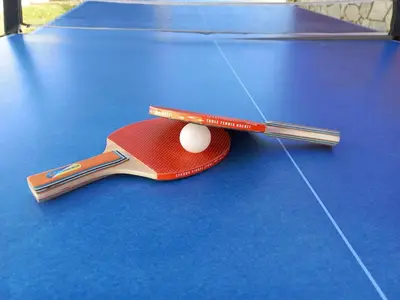Instalaciones para jugar a tenis o squash en Calonge Villa Acacia o alrededores