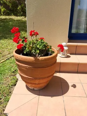 Jardín al aire libre en Apartment with garden and sea view Santa Cristina Blanes