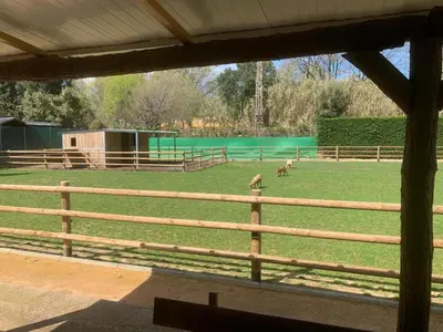 Plano de Rancho Catalan 2