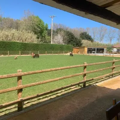 Rancho Catalan 2