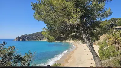 Paisaje cerca de este apartamento