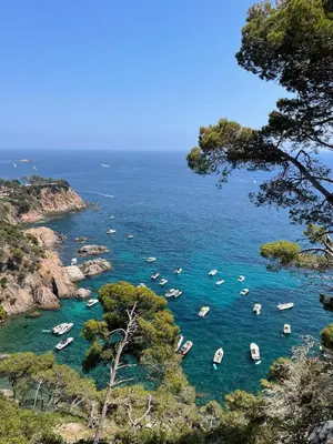 Paisaje cerca de este apartamento