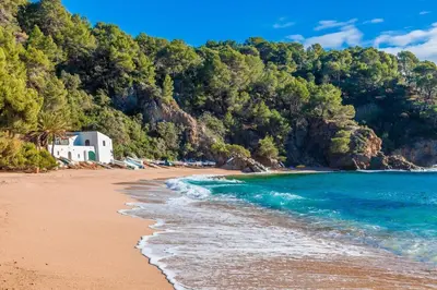 Paisaje cerca de este apartamento