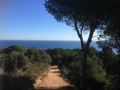 Paisaje cerca de este apartamento