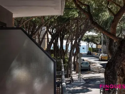 El barrio de los alrededores o un barrio cerca de este apartamento