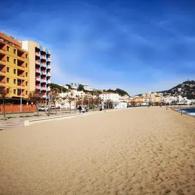 Apartamentos Elvira