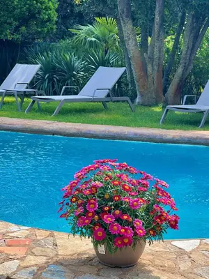 Piscina en o cerca de Hotel Aatu - Adults Only