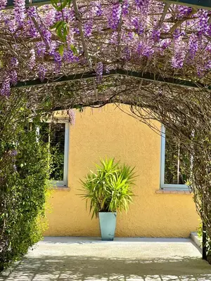 Jardín al aire libre en Hotel Aatu - Adults Only
