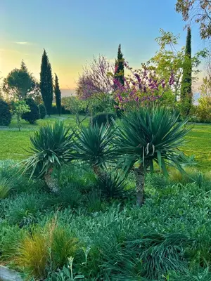 Jardín al aire libre en Hotel Aatu - Adults Only
