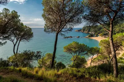 Paisaje cerca de este apartamento