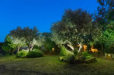 Jardín al aire libre en Can Nentia