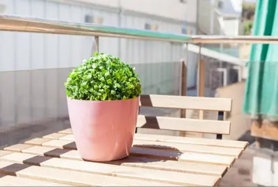 Un balcón o terraza de LG Plaza Merida