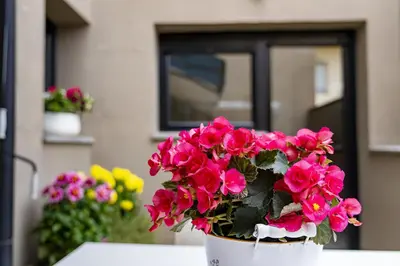 Jardín al aire libre en Apartaments Tee & Sea