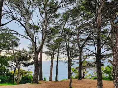Paisaje cerca de este apartamento