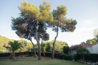 Jardín al aire libre en Apartment Beach Front Sant Pol