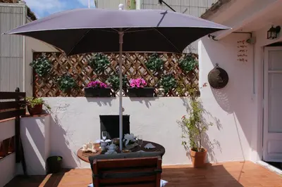 Un patio o zona al aire libre en Apartament l'Alzina