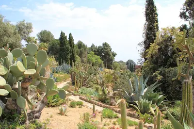 Jardín al aire libre en Apartament l'Alzina