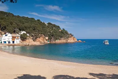 Paisaje cerca de este apartamento