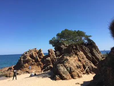 Paisaje cerca de este apartamento