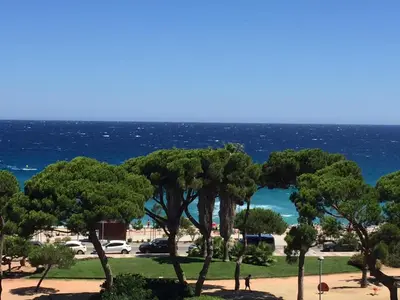 Paisaje cerca de este apartamento