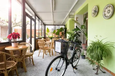Montar en bicicleta en Hostal Fabrellas o alrededores