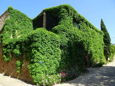 Jardín al aire libre en Apartamento Mas Babu