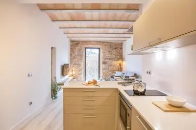 Una cocina o zona de cocina en Flateli Plaça Catalunya 1.1