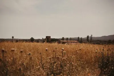 Paisaje cerca of this country house