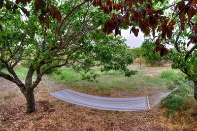 Jardín al aire libre en Masia Cal Ros