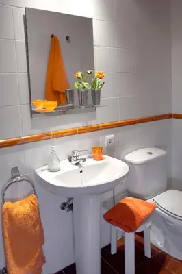 Un baño de Turisme Rural Ca l,Anguila